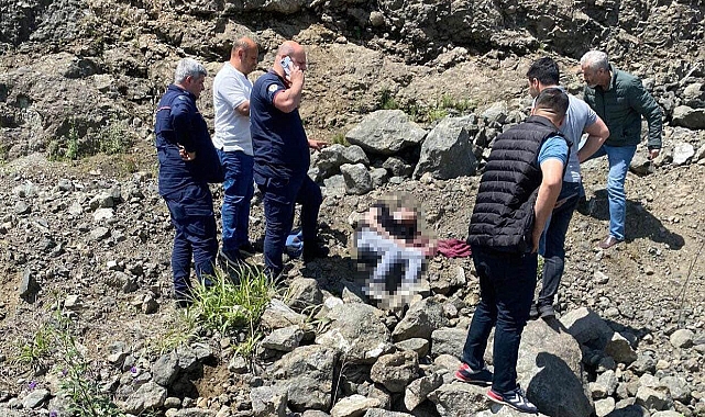 27 yaşındaki gencin cansız bedeni yol kenarında bulundu