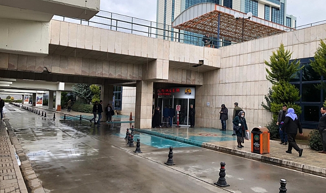 Bal arısının soktuğu adam komaya girdi