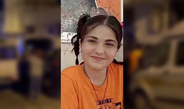 Fotoğraf çekmek isterken düştüğü çayda boğuldu