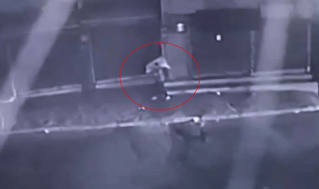 Çöp konteynerindeki cesedin sırrı çözüldü! Öldürdüğü karısını çöpe atmış
