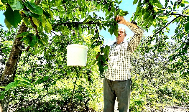 Malatya'da günlük 2 bin TL'ye işçi bulunamıyor