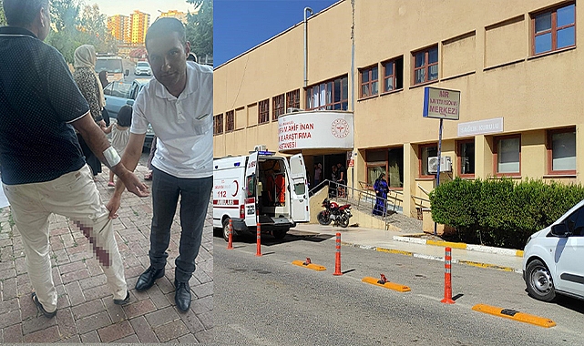 Şanlıurfa'da bir vatandaşı ısıran köpek kuduz çıktı