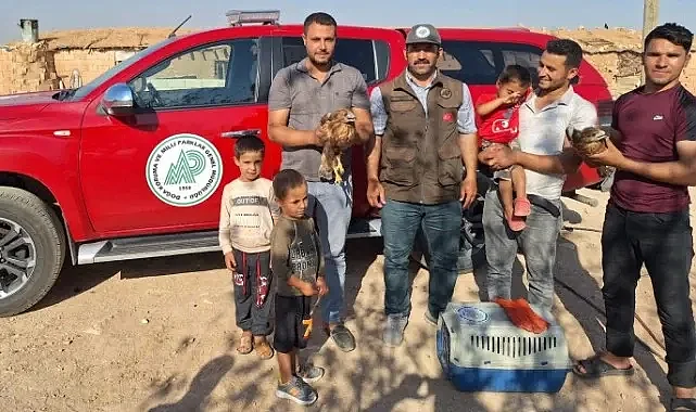 Şanlıurfa'daki sıcak havalardan Kızıl Şahinlerde nasibini aldı
