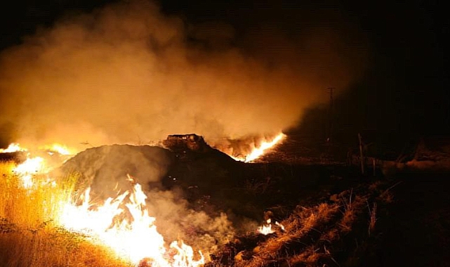 Suriye sınırında anız yangını: 7 köy etkilendi