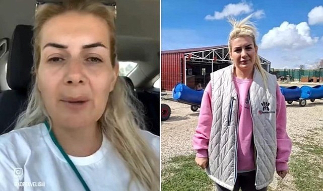 Urfa'daki kuduz köpekleri Ankara'ya götüren kadın tutuklandı