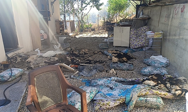 Adana'daki orman yangını evlere sıçradı, 8 ev zarar gördü