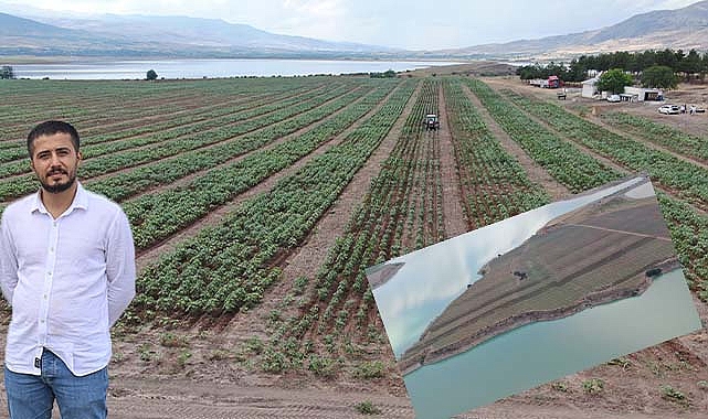 Anadolu'nun en büyük adasını Urfalı satın aldı! Tarlaya 10 bin kayısı ağacı ekti