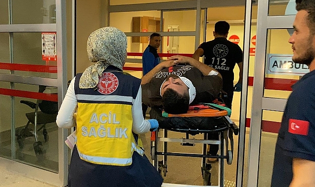 Aniden yola çıkan köpek kazaya neden oldu: 1 yaralı