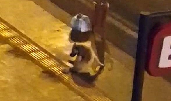 Diyarbakır'da dökülen alkolü içen köpek dakikalarca kuyruğunu ısırmaya çalıştı