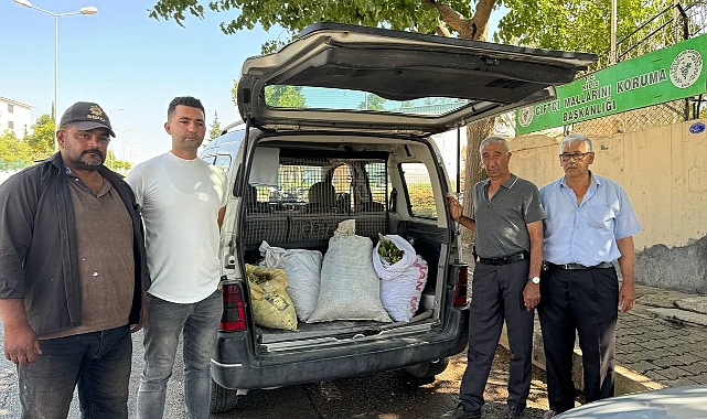 Fıstık hırsızları kıskıvrak yakalandı