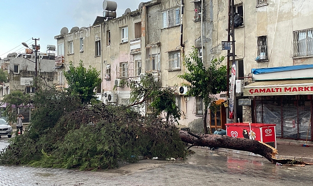 Şiddetli yağmur ve rüzgar ağaçları kökünden söktü, vinci devirdi