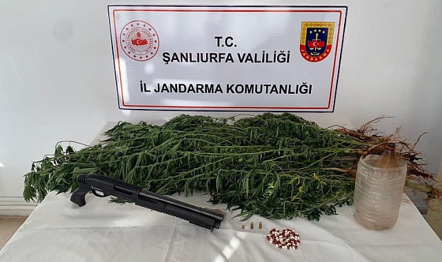 Siverek'te uyuşturucu operasyonu: 2 gözaltı