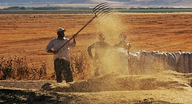 Tarım Ürünleri Üretici Fiyat Endeksi verileri açıklandı