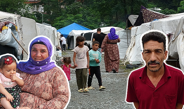 Urfalı mevsimlik tarım işçileri fındık hasadı için Ordu'da