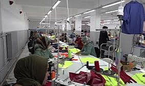 İstihdam endeksi yıllık artı