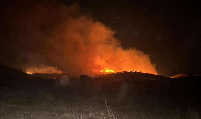 Mardin'de 2 farklı noktada çıkan anız ve ot yangını söndürüldü