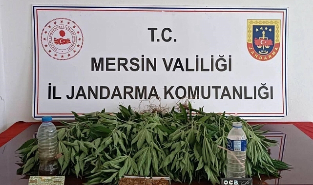 Mersin'de uyuşturucu operasyonu: 6 gözaltı