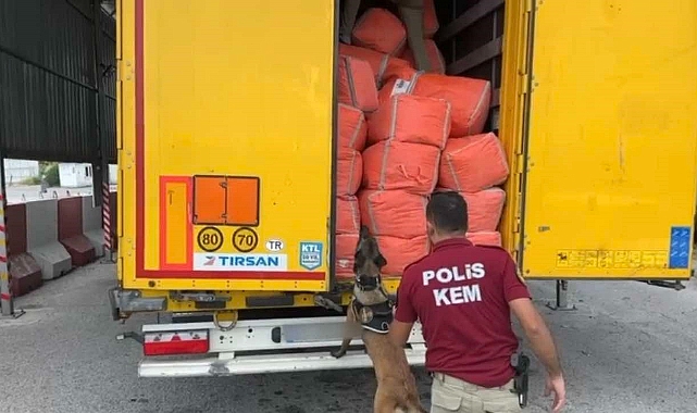 Osmaniye’de durdurulan tırda 166 kilo 700 gram skunk ele geçirildi