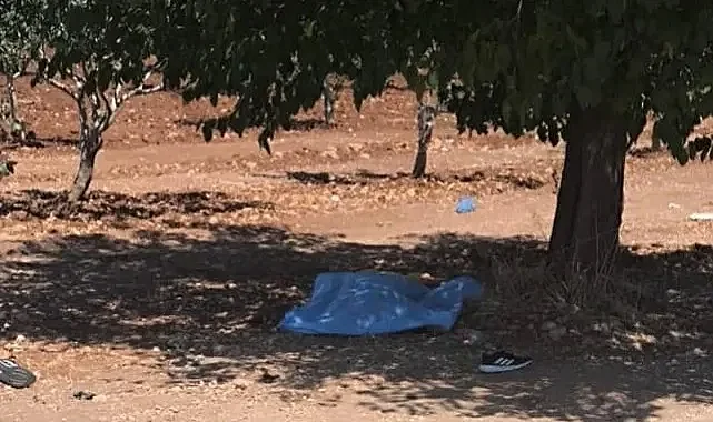 Şanlıurfa'da tarlada bir şahsın cesedi bulundu