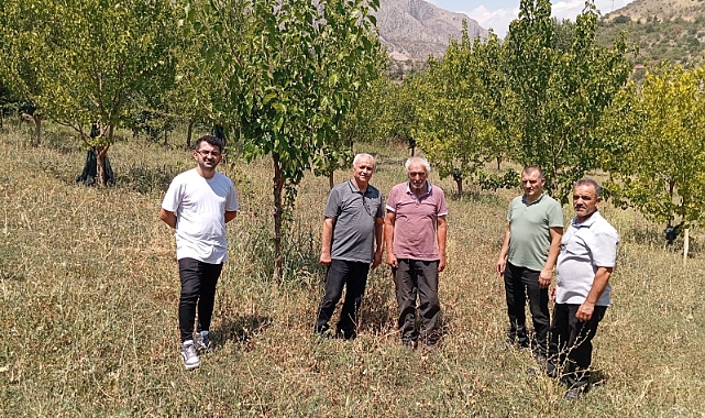 Şanlıurfa’dan götürülen badem fidanları eğimli arazilere dikildi