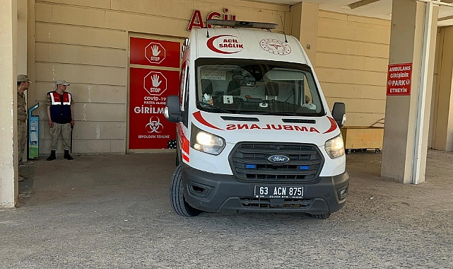 Siverek'te çiftçi domuzun saldırısına uğradı