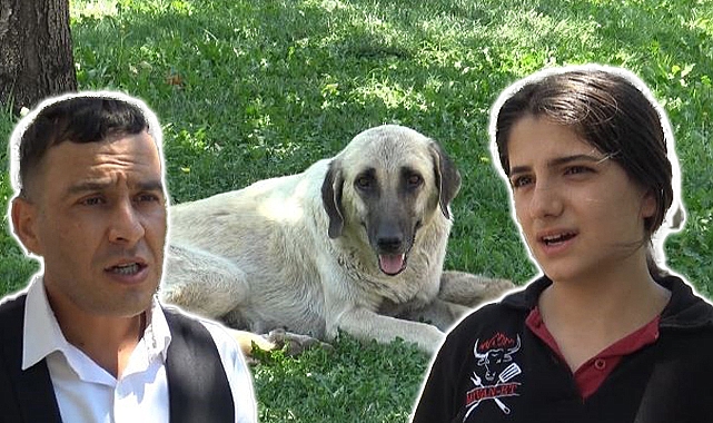 Siverek'te genç kadın canından oluyordu! Saldırının tanıkları o anları anlattı