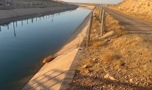 Suruç'ta sulama kanalına giren çocuk boğuldu