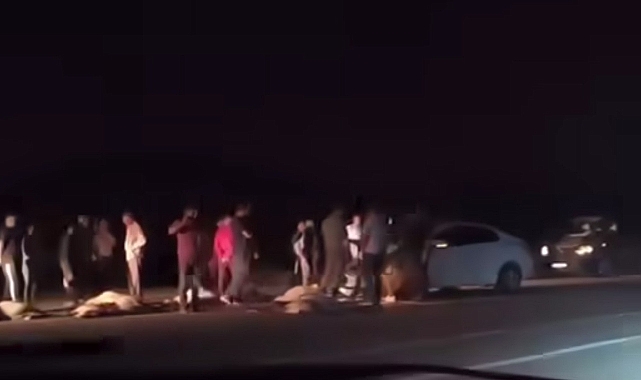Van'da otomobilin çarptığı 21 koyun telef oldu