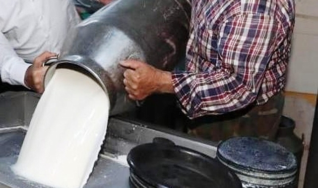 Ticari süt işletmelerince 934 bin 396 ton inek sütü toplandı