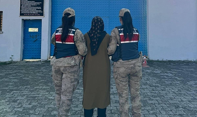 Erzurum’da FETÖ/PDY operasyonu!