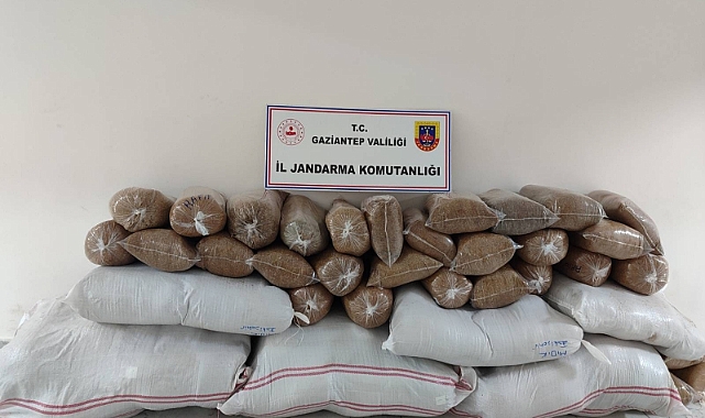 Gaziantep'te 1 milyon TL değerinde kaçak sigara ele geçirildi: 11 gözaltı
