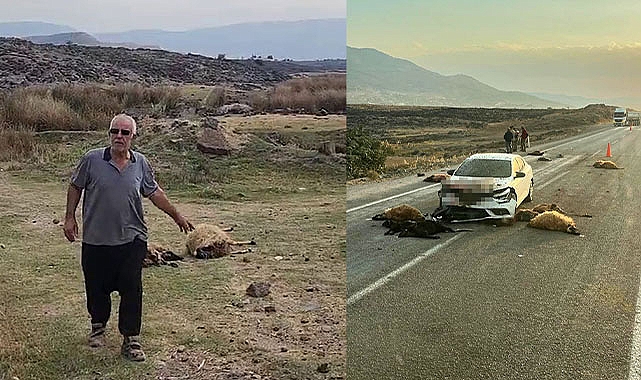 Küçükbaş hayvan sürüsünün arasında otomobil daldı: 17 hayvan telef oldu