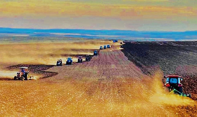 Şanlıurfa'da imece usulüyle ekin zamanı