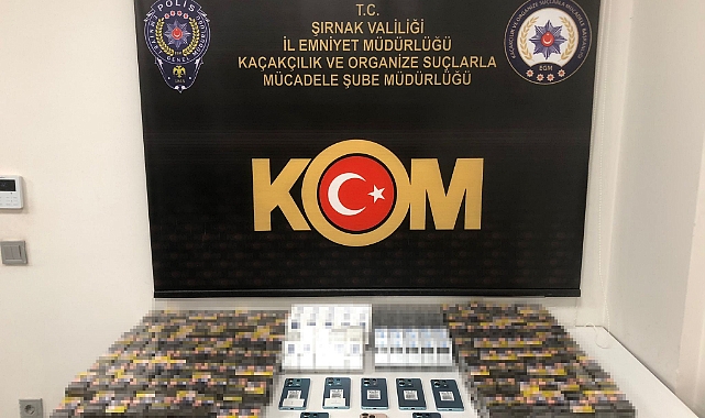 Şırnak'ta kaçakçılık ve asayiş operasyonuna 4 tutuklama