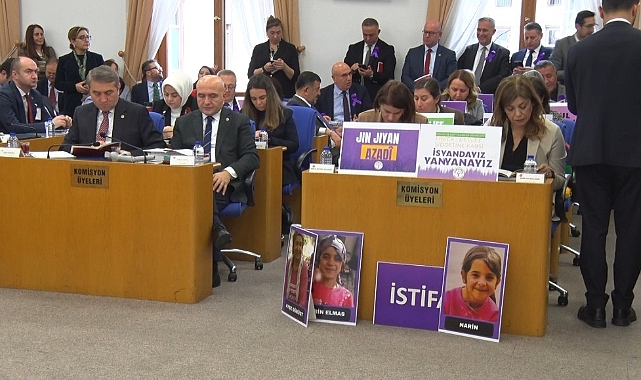TBMM Plan ve Bütçe Komisyonu'nda ‘kadın cinayetleri' tartışması