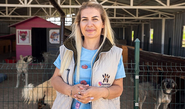 Urfa'dan 29 köpeği Ankara’ya götüren Özgünlü’nün yargılanmasına devam edildi