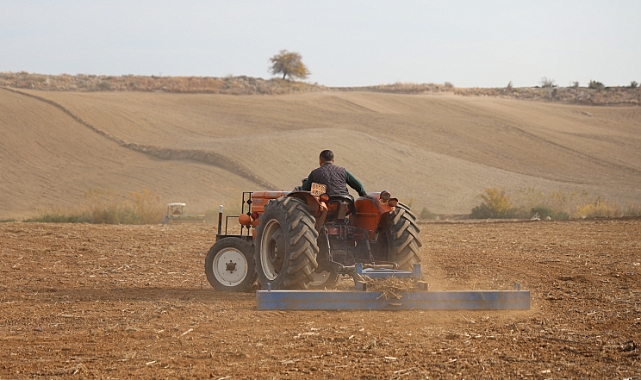 Adana'da buğday taneleri toprakla buluştu