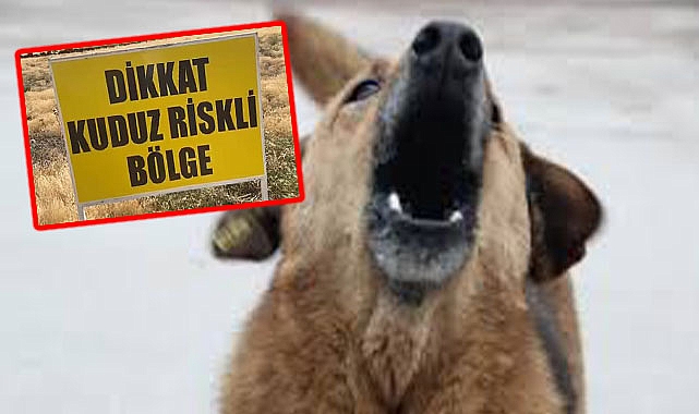 Şanlıurfa'da kuduz vakası! 9 yaşındaki çocuk öldü