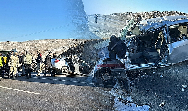 Siverek’te duvara çarpan otomobilin sürücüsü hayatını kaybetti
