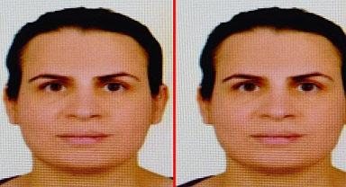 İstanbul'da öldürülen kadın Urfalı çıktı