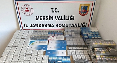 Mersin'de kaçakçılık operasyonu: 1 gözaltı