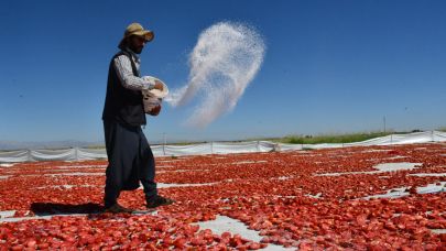 Siverek'in Güneşte Kurutulan Lezzeti Dünyaya İhraç Ediliyor