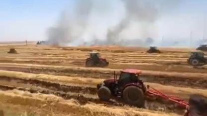 Şanlıurfa’da Anız Yangını Büyük Zarara Yol Açtı