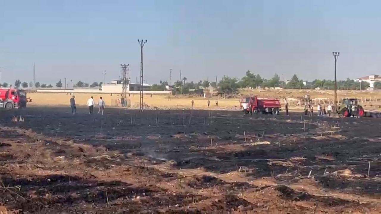 Şanlıurfa'da çıkan yangında buğday ekili tarla zarar gördü