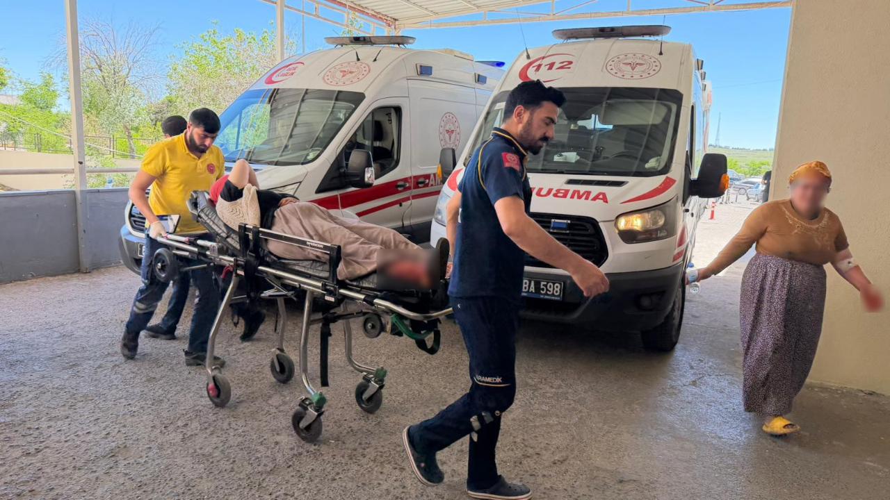 Yılanı vurmak isterken 5 kişiyi vurdu