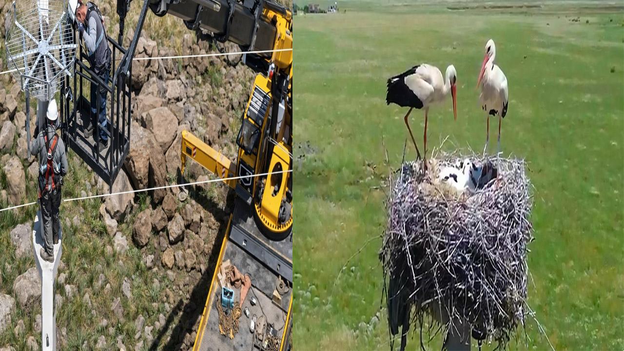Doğal yaşama enerji veren proje: Göçmen kuşlar Dicle Elektrik ile güvende