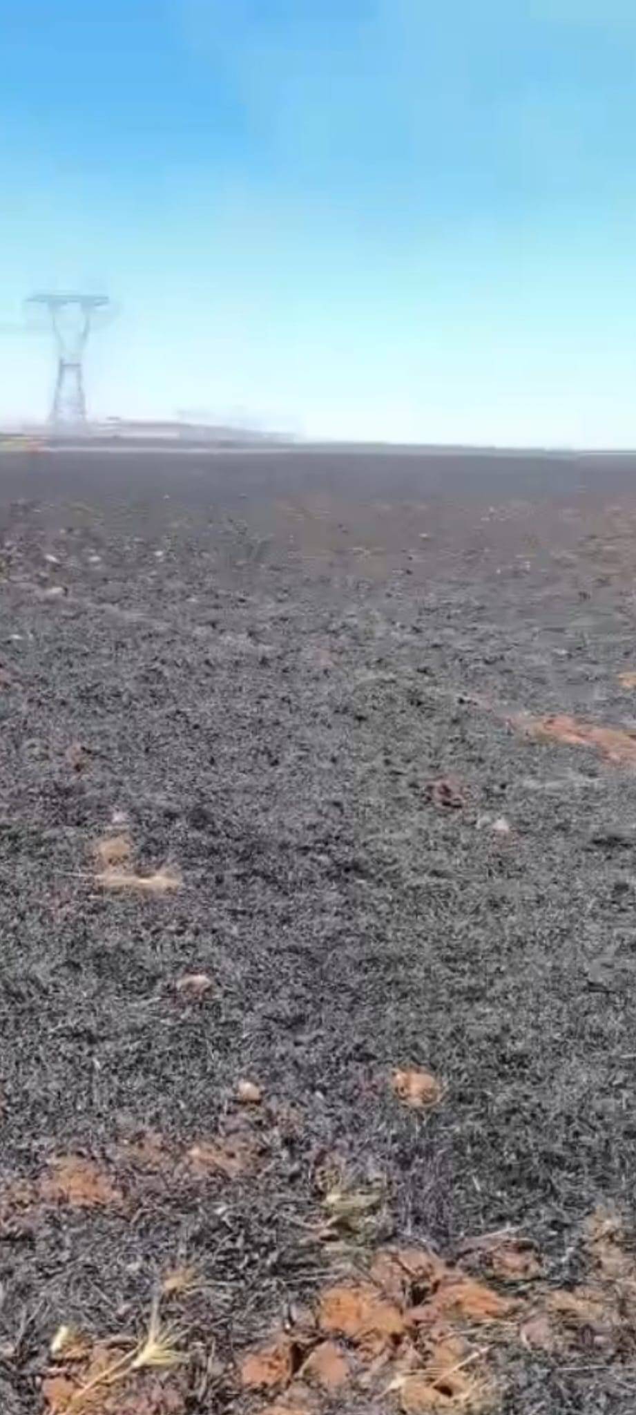 Şanlıurfa'da 45 dönüm buğday ekili alan yandı
