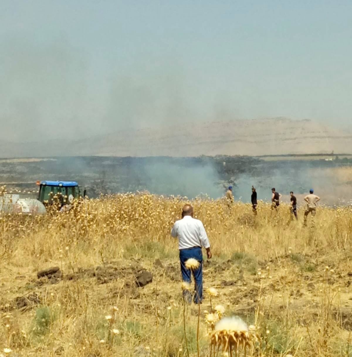 Mardin'de anız yangını